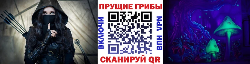Псилоцибиновые грибы прущие грибы  Егорьевск 